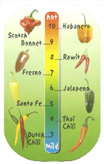 ConCarne Thermometer