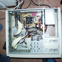CC-NikoFrag2001_800_041.jpg
