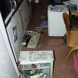 CC-NikoFrag2001_800_055.jpg