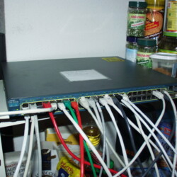 CC-NikoFrag2001_800_056.jpg