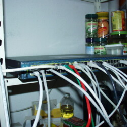 CC-NikoFrag2001_800_080.jpg