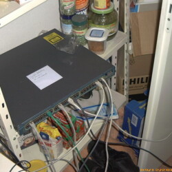 CC-NikoFrag2001_800_100.jpg