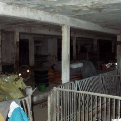 FS_126_800.jpg