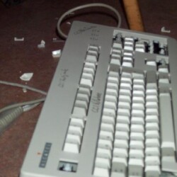 LAN2001_042_800.jpg
