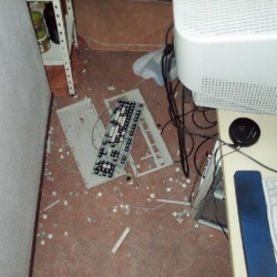 LAN2001_075_800.jpg