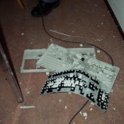 LAN2001_080_800.jpg