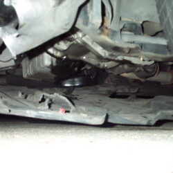 PAB_006_800.jpg