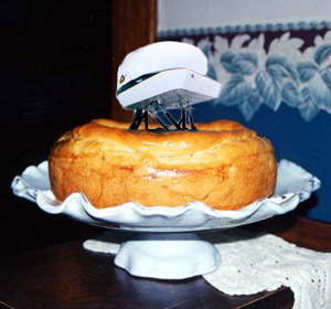 Torte Medved 2005